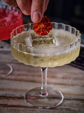 Load image into Gallery viewer, Modernism x Lara K. Crystal Champagne Coupe Glasses thomas-george-gallery